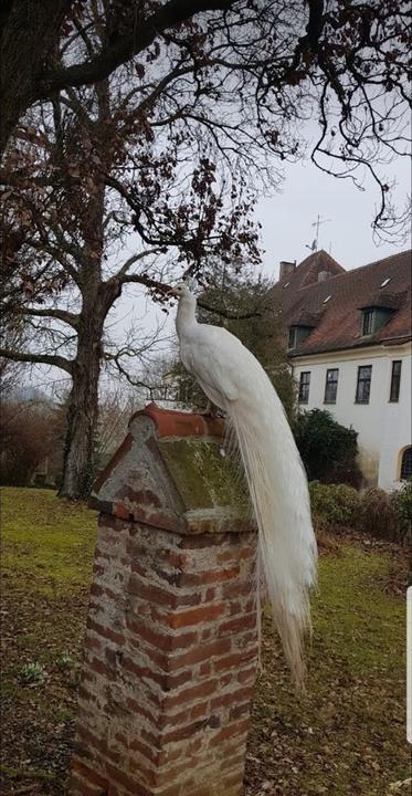 Schloss-Schenke Tunzenberg